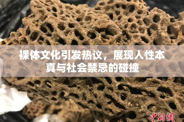 裸体文化引发热议，展现人性本真与社会禁忌的碰撞