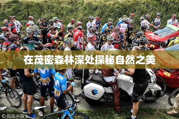 在茂密森林深处探秘自然之美