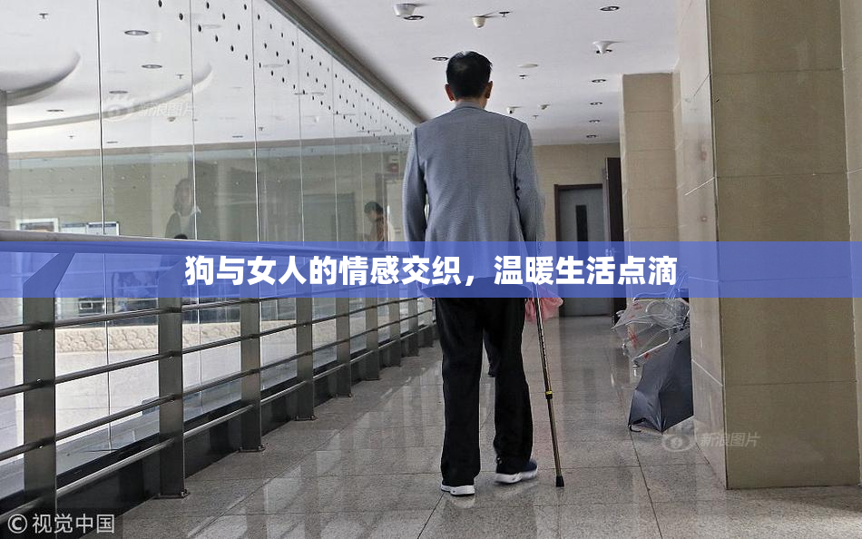 狗与女人的情感交织，温暖生活点滴