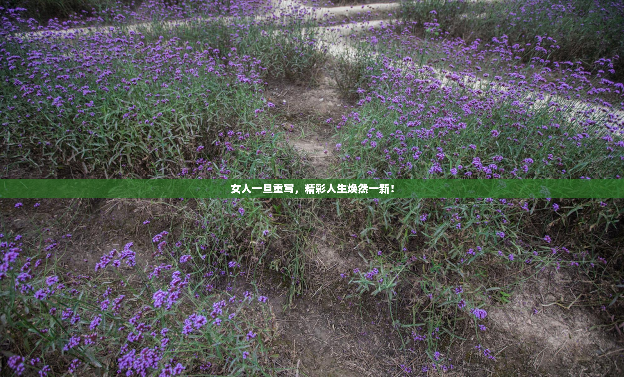 女人一旦重写，精彩人生焕然一新！
