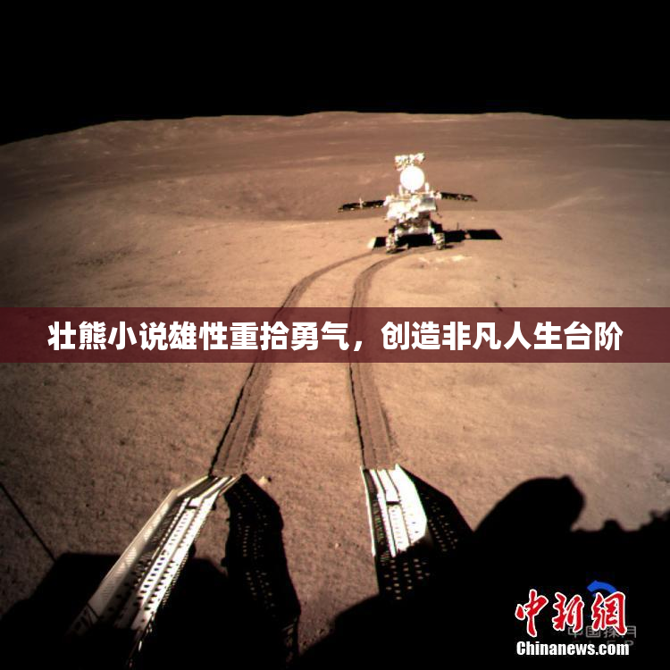壮熊小说雄性重拾勇气，创造非凡人生台阶