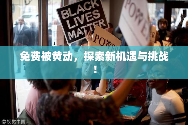 免费被黄动，探索新机遇与挑战！