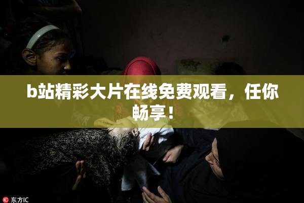 b站精彩大片在线免费观看，任你畅享！