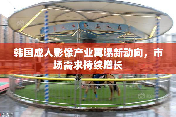 韩国成人影像产业再曝新动向，市场需求持续增长