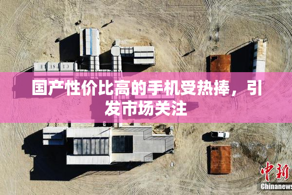 国产性价比高的手机受热捧，引发市场关注