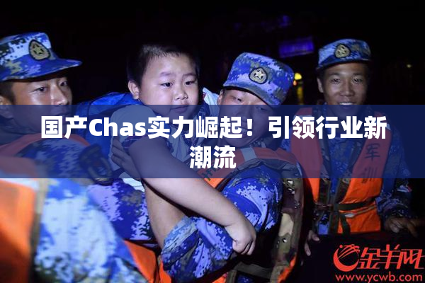 国产Chas实力崛起！引领行业新潮流