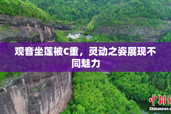 观音坐莲被C重，灵动之姿展现不同魅力