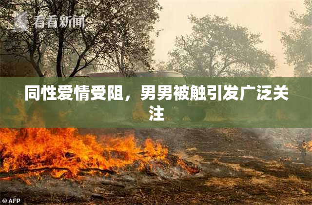 同性爱情受阻，男男被触引发广泛关注