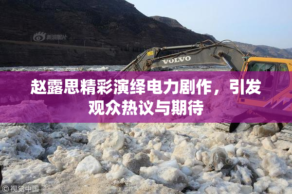 赵露思精彩演绎电力剧作，引发观众热议与期待