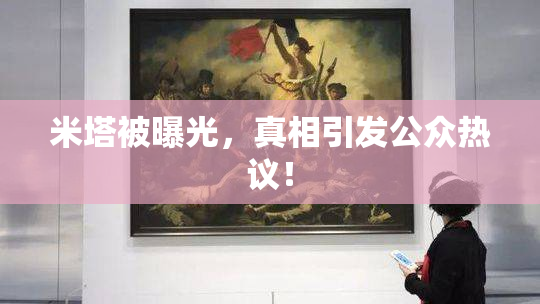 米塔被曝光，真相引发公众热议！