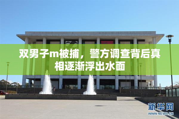 双男子m被捕，警方调查背后真相逐渐浮出水面