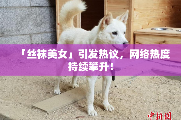 「丝袜美女」引发热议，网络热度持续攀升！