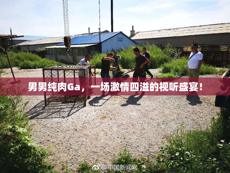 男男纯肉Ga，一场激情四溢的视听盛宴！