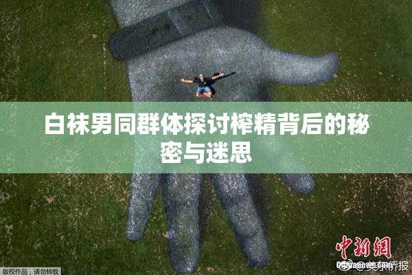 白袜男同群体探讨榨精背后的秘密与迷思