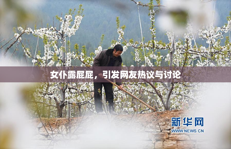 女仆露屁屁，引发网友热议与讨论