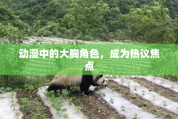 动漫中的大胸角色，成为热议焦点