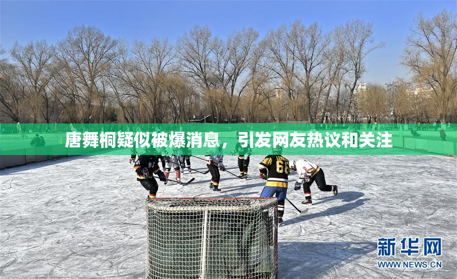 唐舞桐疑似被爆消息，引发网友热议和关注