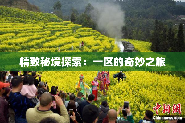 精致秘境探索：一区的奇妙之旅