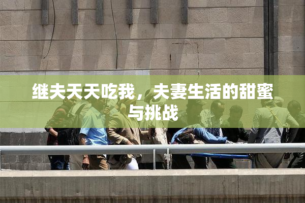 继夫天天吃我，夫妻生活的甜蜜与挑战