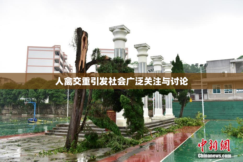 人禽交重引发社会广泛关注与讨论