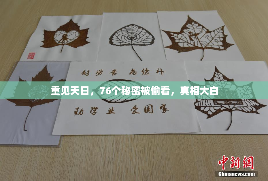 重见天日，76个秘密被偷看，真相大白
