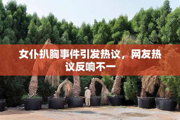 女仆扒胸事件引发热议，网友热议反响不一