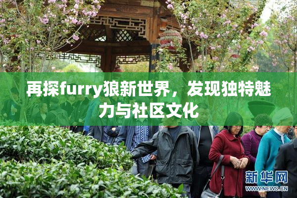 再探furry狼新世界，发现独特魅力与社区文化