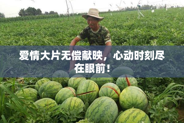 爱情大片无偿献映，心动时刻尽在眼前！