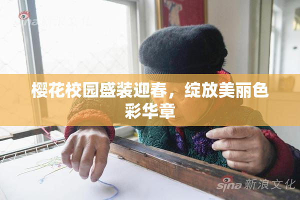 樱花校园盛装迎春，绽放美丽色彩华章
