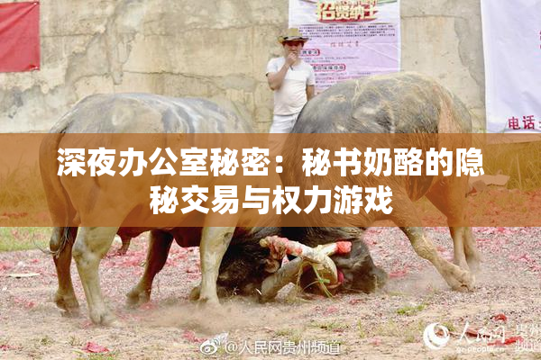 深夜办公室秘密：秘书奶酪的隐秘交易与权力游戏