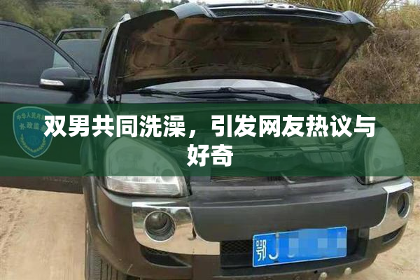 双男共同洗澡，引发网友热议与好奇