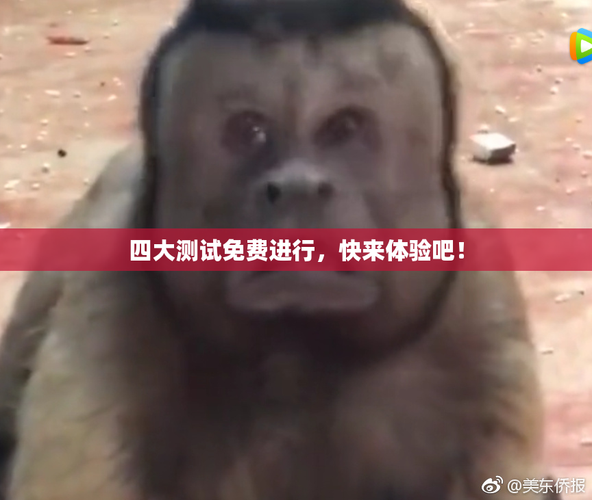 四大测试免费进行，快来体验吧！