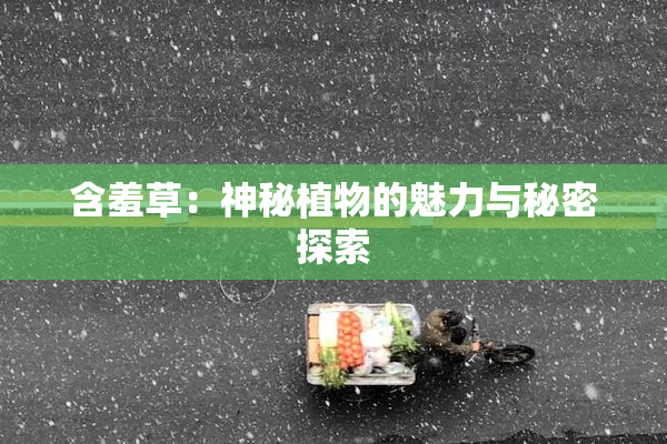 含羞草：神秘植物的魅力与秘密探索