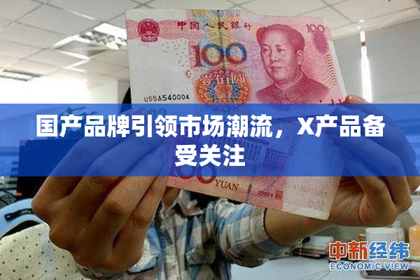 国产品牌引领市场潮流，X产品备受关注