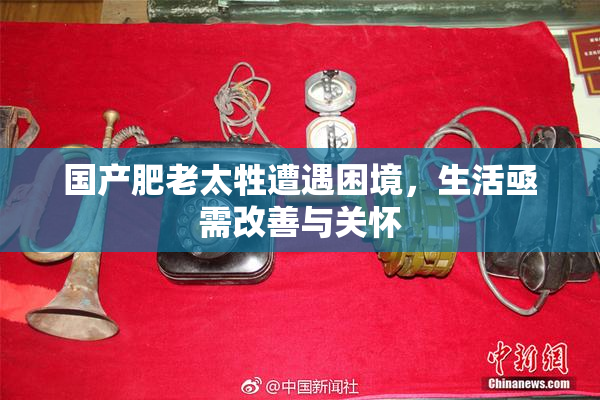 国产肥老太牲遭遇困境，生活亟需改善与关怀