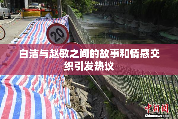 白洁与赵敏之间的故事和情感交织引发热议