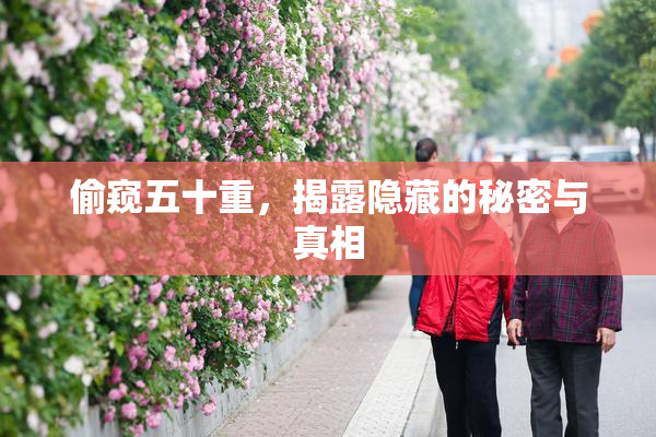 偷窥五十重，揭露隐藏的秘密与真相