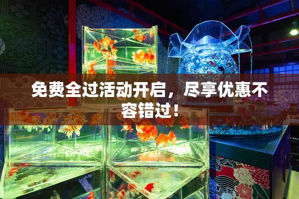 免费全过活动开启，尽享优惠不容错过！