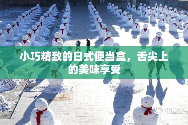 小巧精致的日式便当盒，舌尖上的美味享受