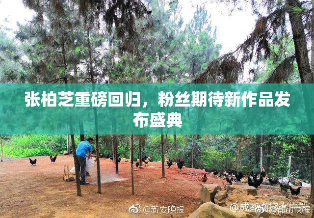 张柏芝重磅回归，粉丝期待新作品发布盛典