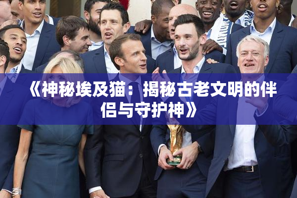 《神秘埃及猫：揭秘古老文明的伴侣与守护神》