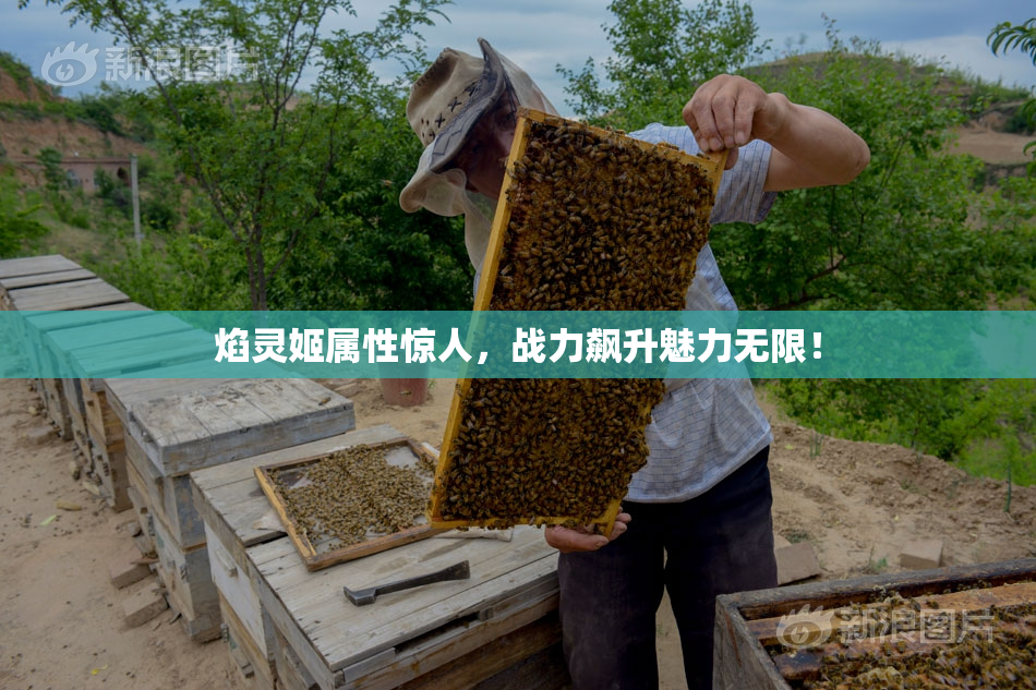 焰灵姬属性惊人，战力飙升魅力无限！