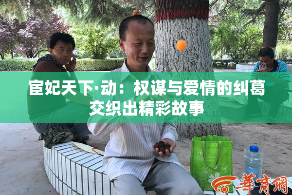 宦妃天下·动：权谋与爱情的纠葛交织出精彩故事