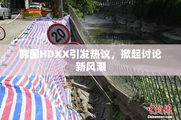 韩国HDXX引发热议，掀起讨论新风潮