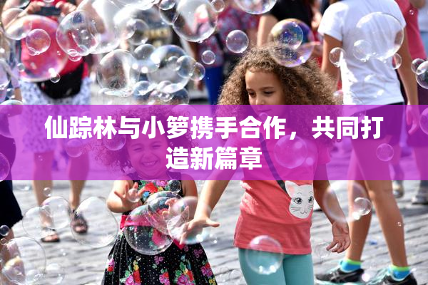 仙踪林与小箩携手合作，共同打造新篇章