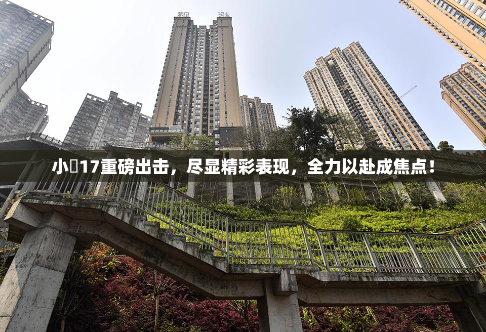 小泬17重磅出击，尽显精彩表现，全力以赴成焦点！