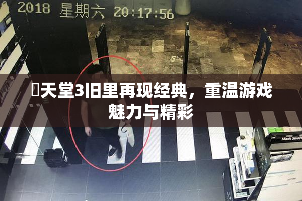 妺天堂3旧里再现经典，重温游戏魅力与精彩