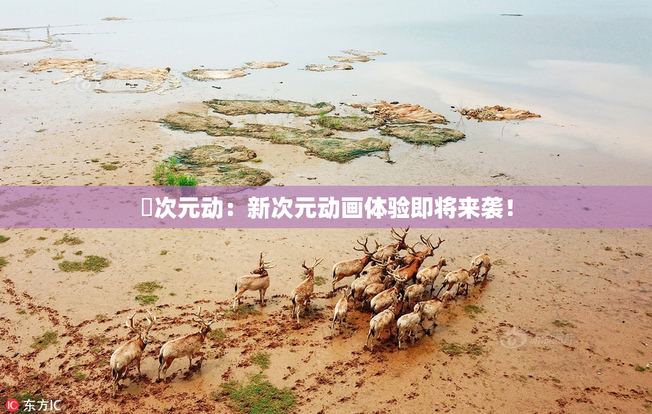 囧次元动：新次元动画体验即将来袭！