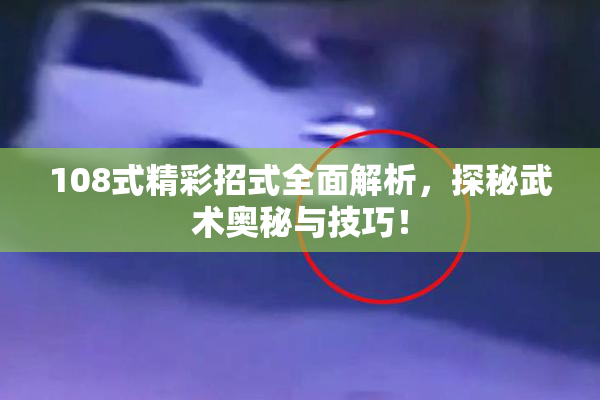 108式精彩招式全面解析，探秘武术奥秘与技巧！