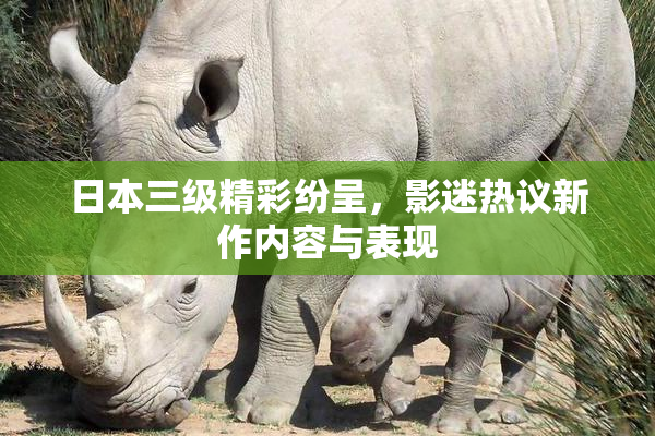 日本三级精彩纷呈，影迷热议新作内容与表现